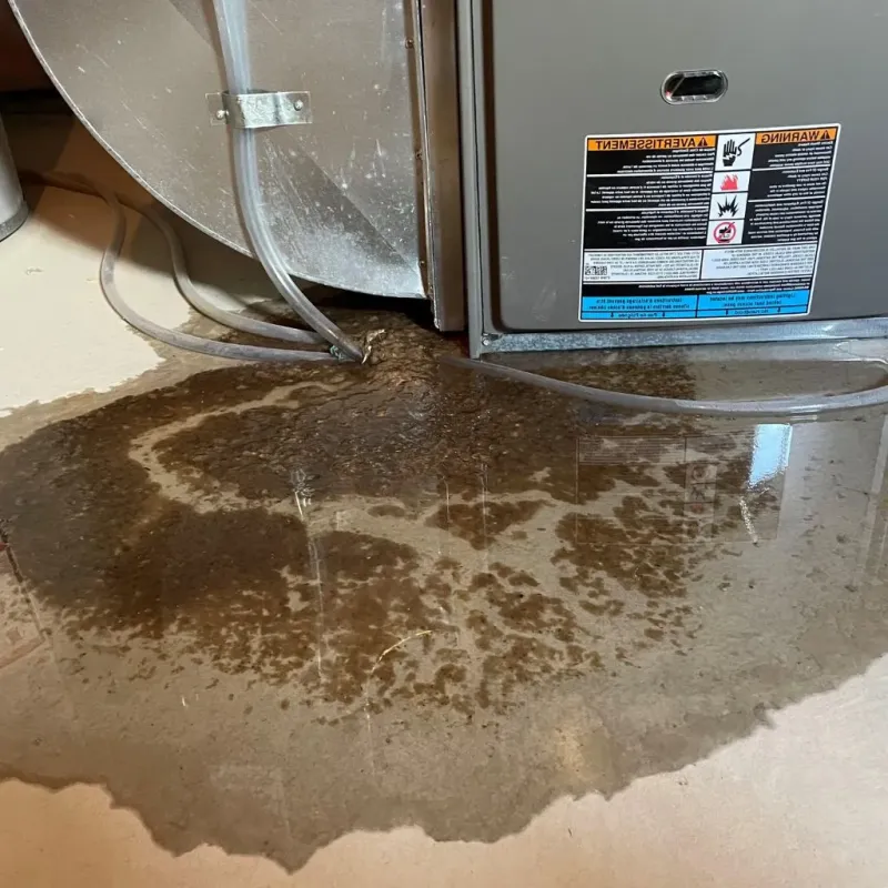 Pipe Burst and Leak Restoration in Cape Saint Claire, MD